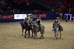 Quadrille - 00695